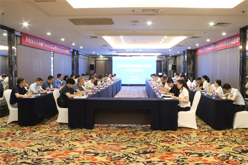 川投集团资阳燃气电站新建工程项目2号机组启动验收会顺利召开